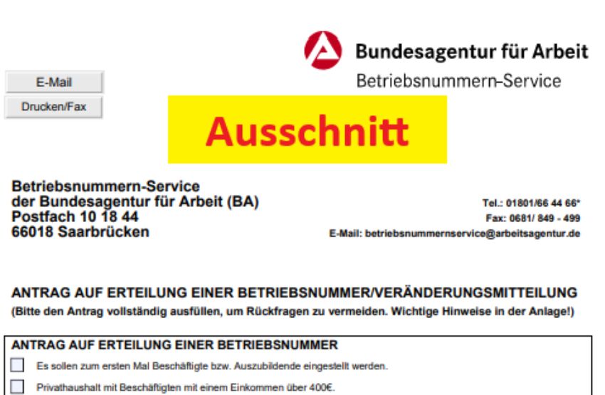 betriebsnummer beantragen