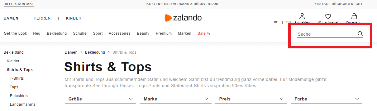 Design Website Suchleiste